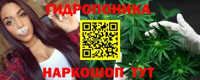трава Бийск