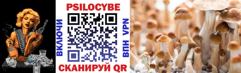 Галлюциногенные грибы Psilocybine cubensis Балахна