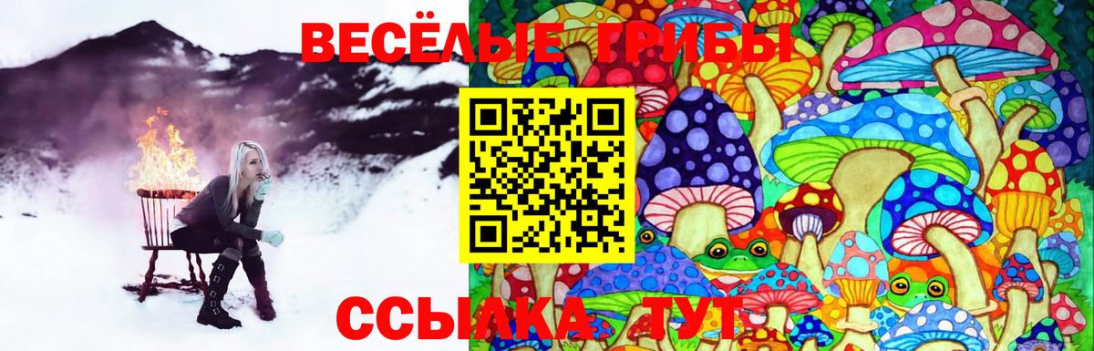 Галлюциногенные грибы MAGIC MUSHROOMS  Вход с VPN  Балахна 