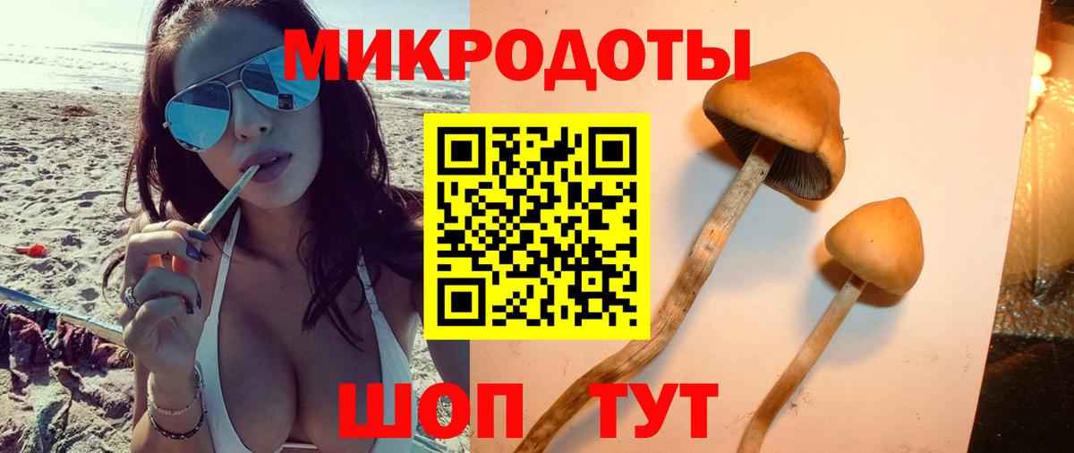 Псилоцибиновые грибы мицелий Балахна